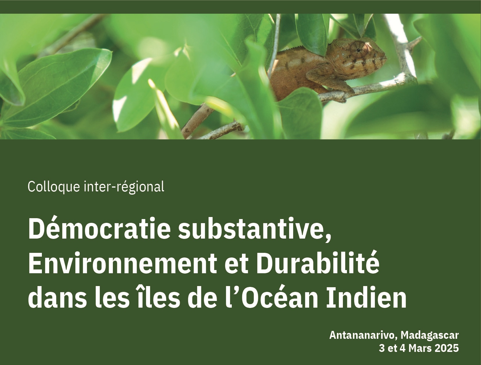 Colloque Inter-régional sur la Démocratie Substantive - Environnement et Durabilité dans l'Océan Indien - Résumé des Interventions 2025